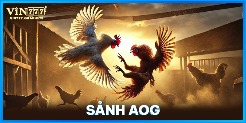 Sảnh AOG